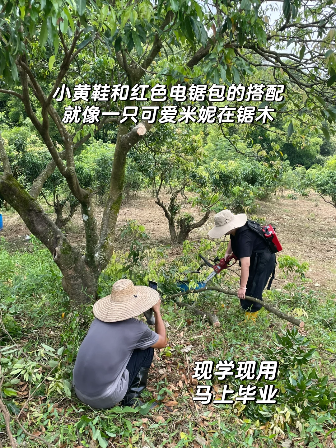 女人真的不能搞农场！