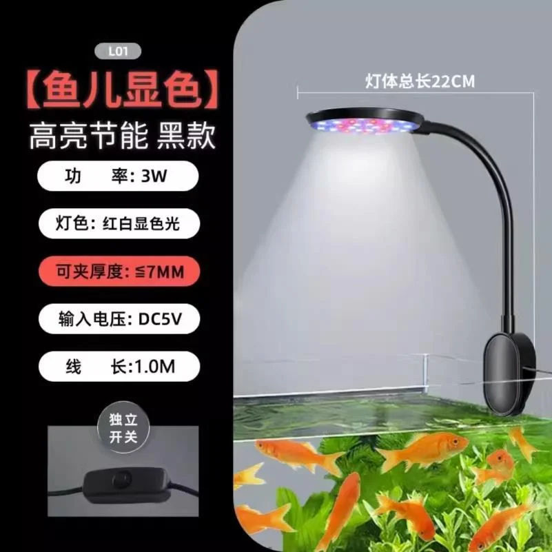 ✨立式玻璃鱼缸，高级感拉满！