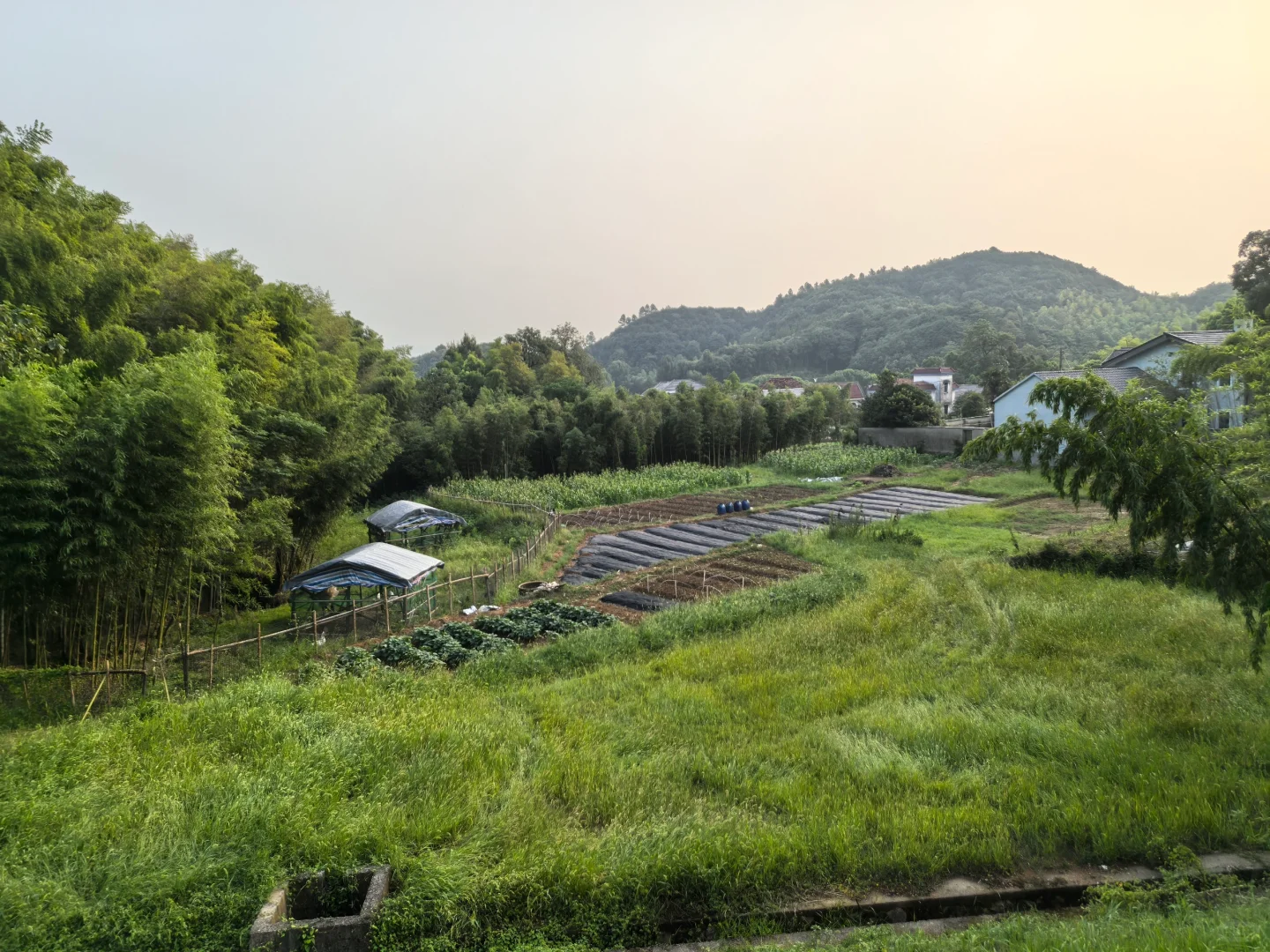 建一个小型农场需要多少费用？