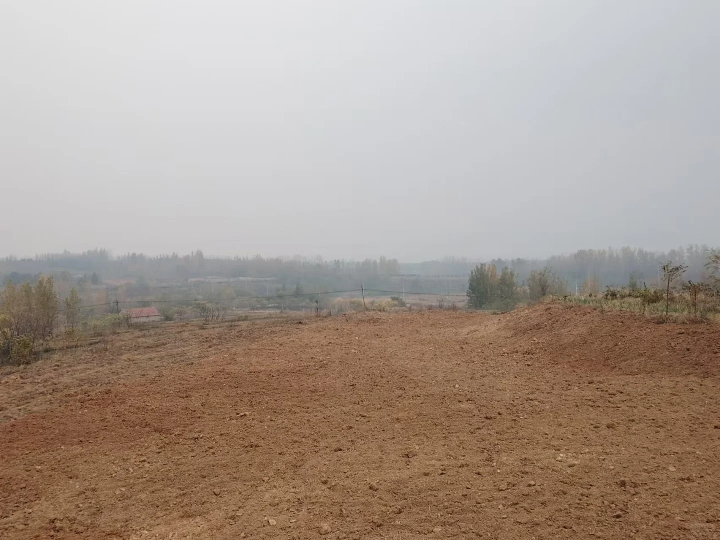 农业硕士返乡创业记录之中药材项目