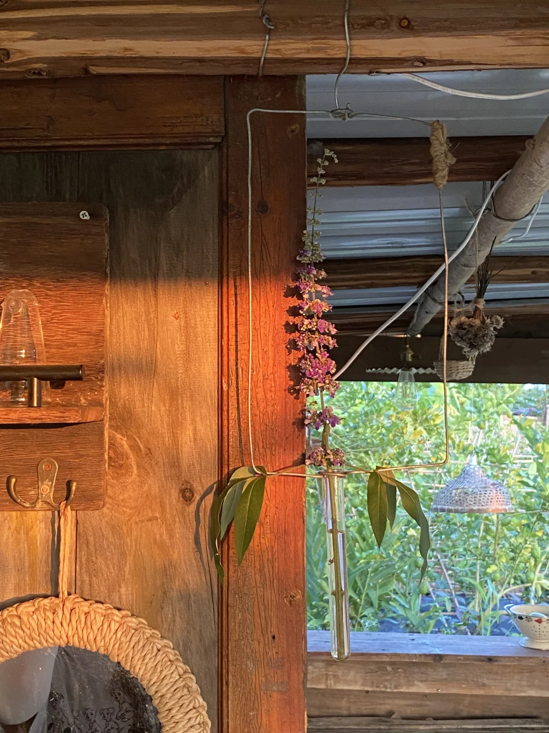 29岁，在广州拥有一个小而美的农场??‍?