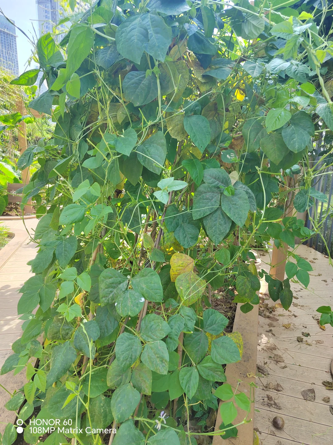 谁能百分百说出这些菜名？