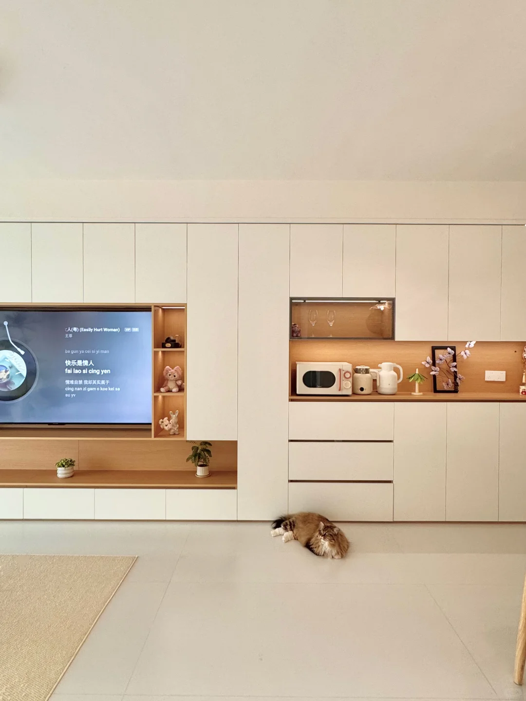 被疯狂抄作业的满墙柜子，?1.2W 值不值呢