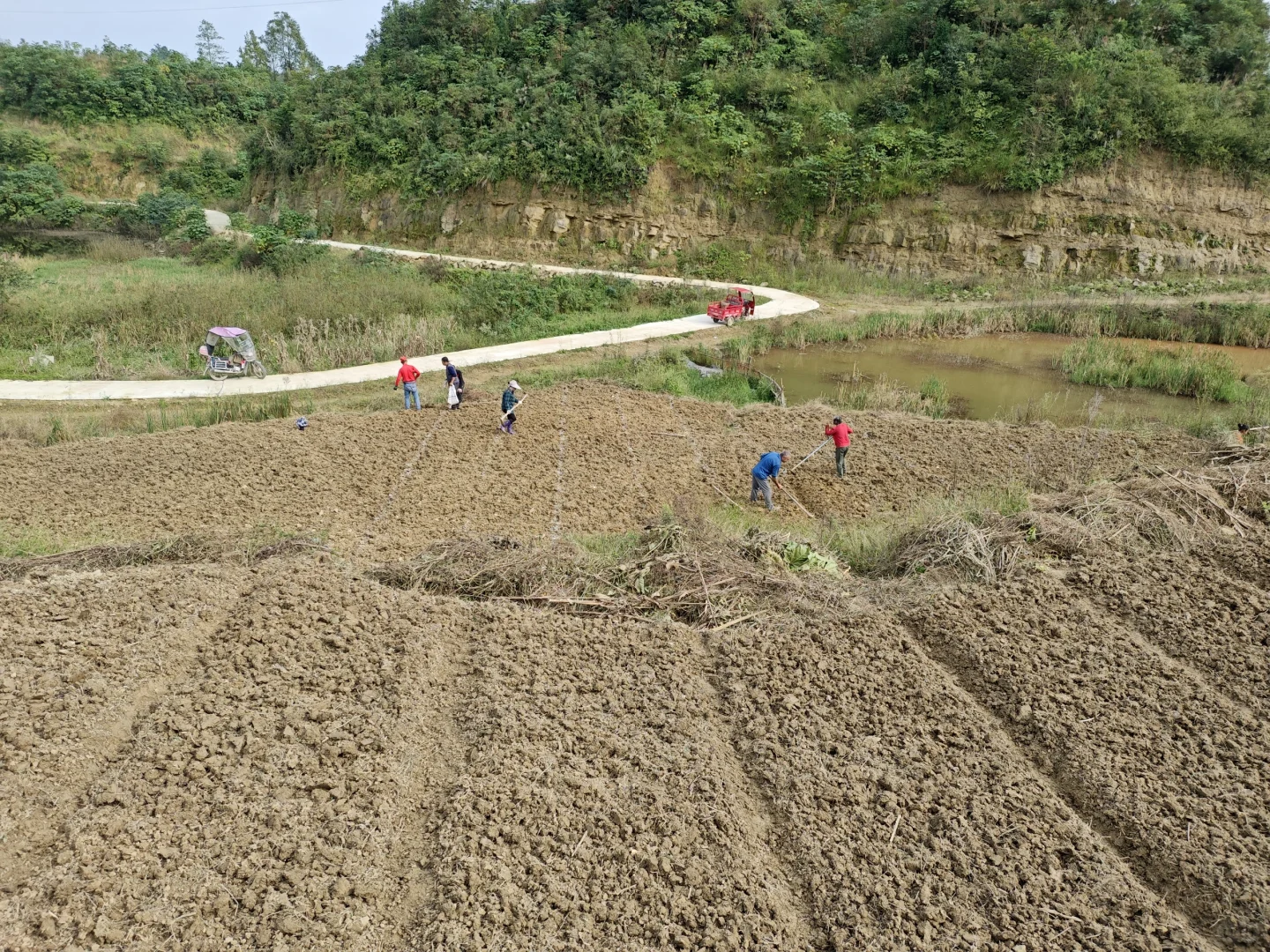 不想在大城市当牛马的我，选择回村种野地瓜