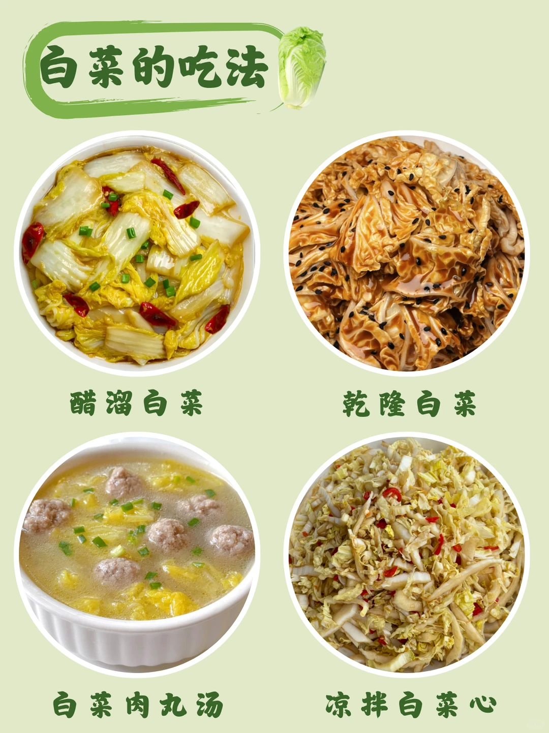 每天认识一种食物 | 百菜之王-白菜