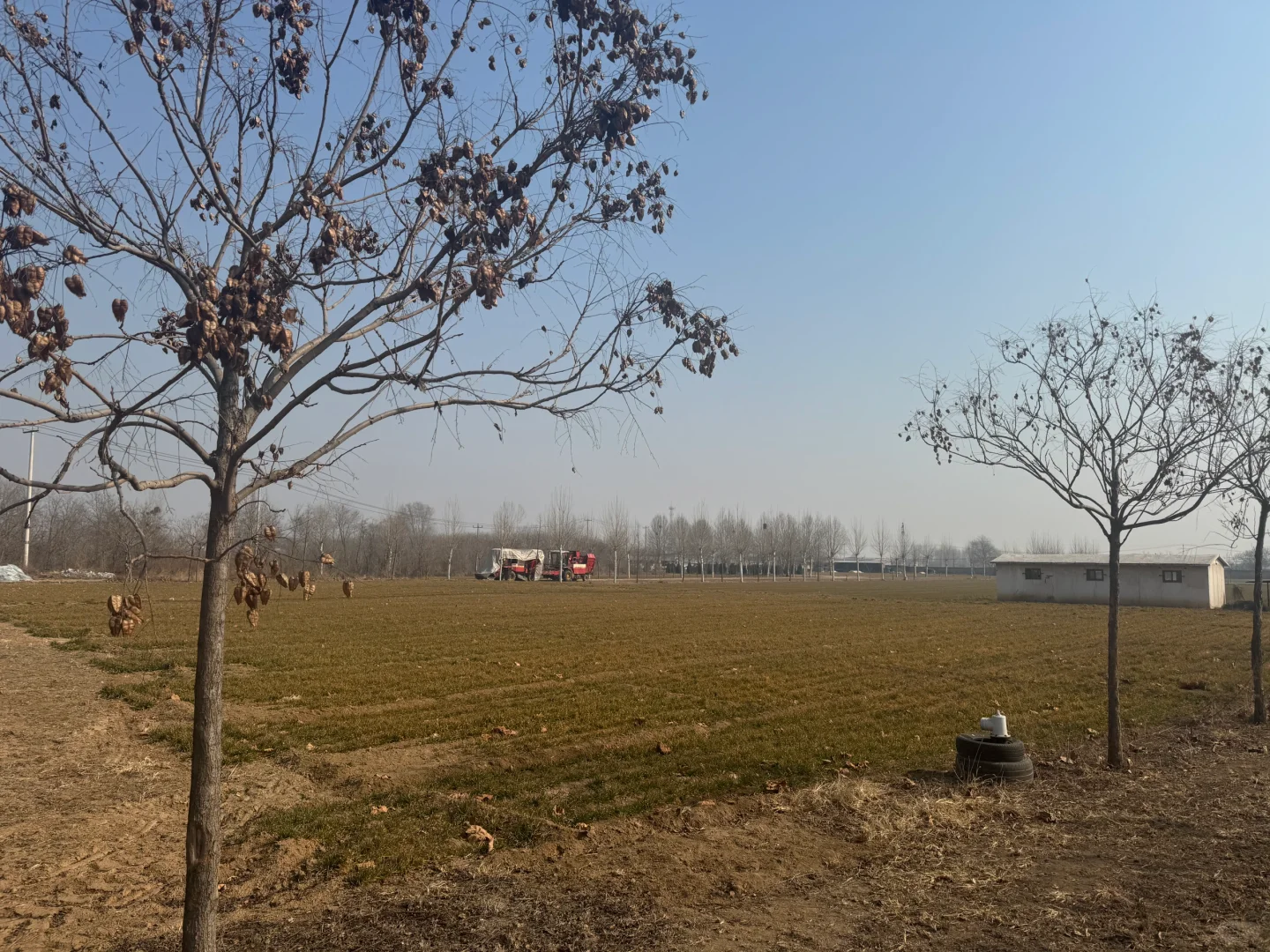 石家庄周边 家庭农场