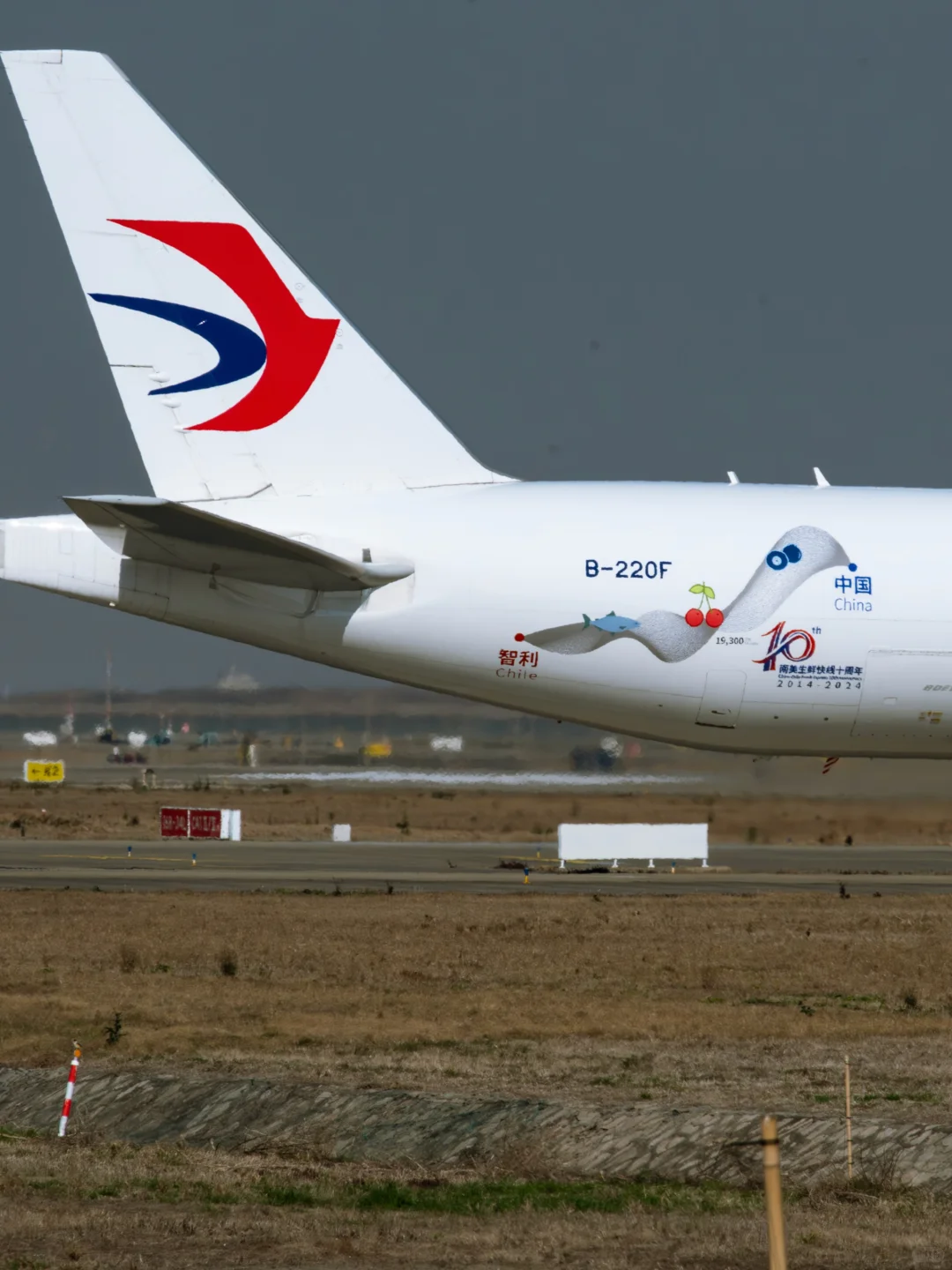 燕衔樱桃入中华