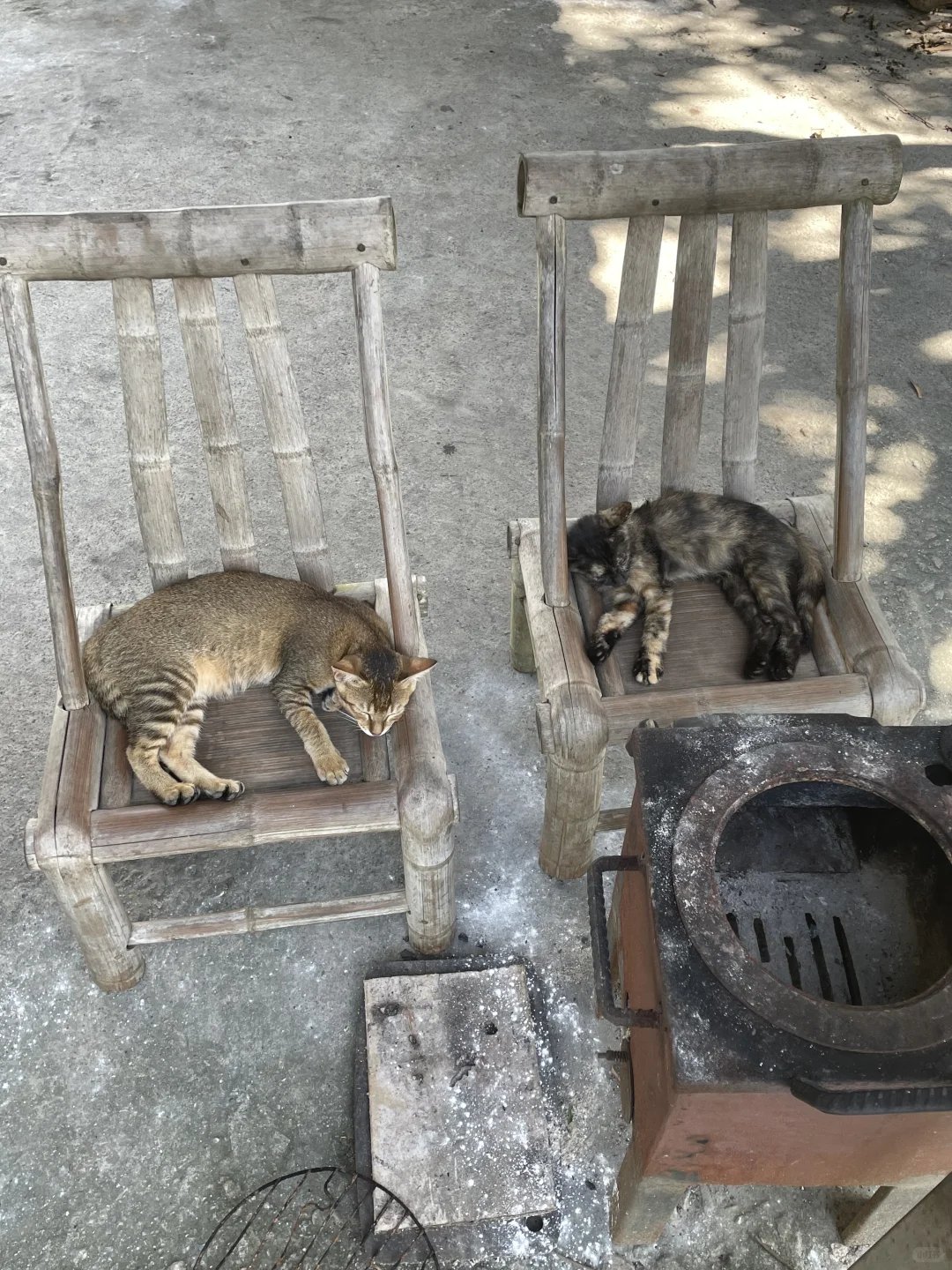 女人真的不能搞农场！