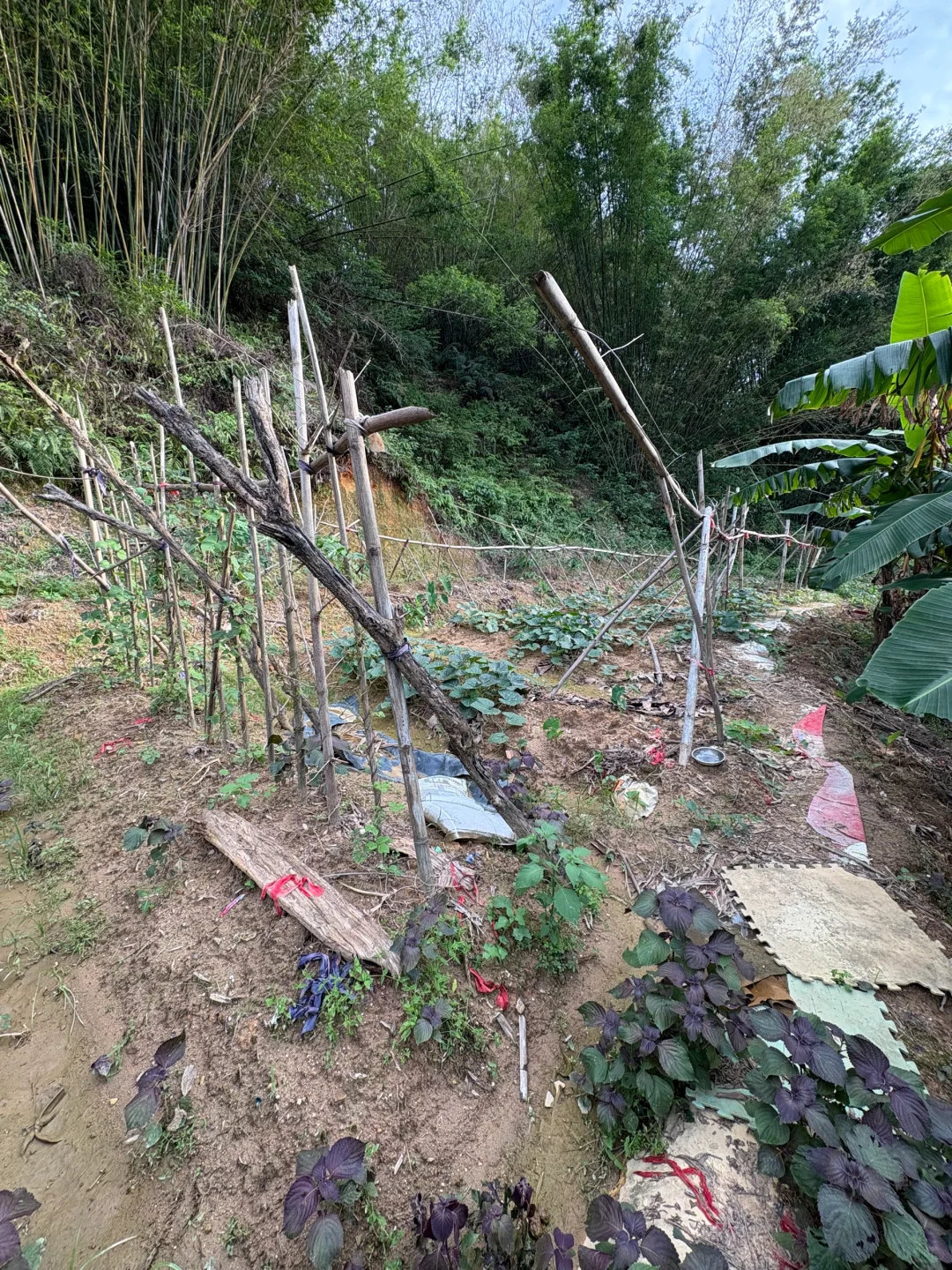 28岁在农村成为一名农场主是怎么样的体验?