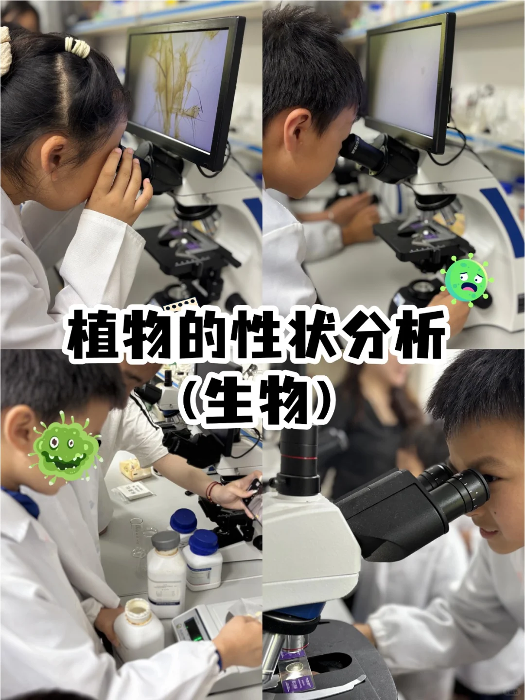 中科院主题兴趣体验清单?11-2月研学合集