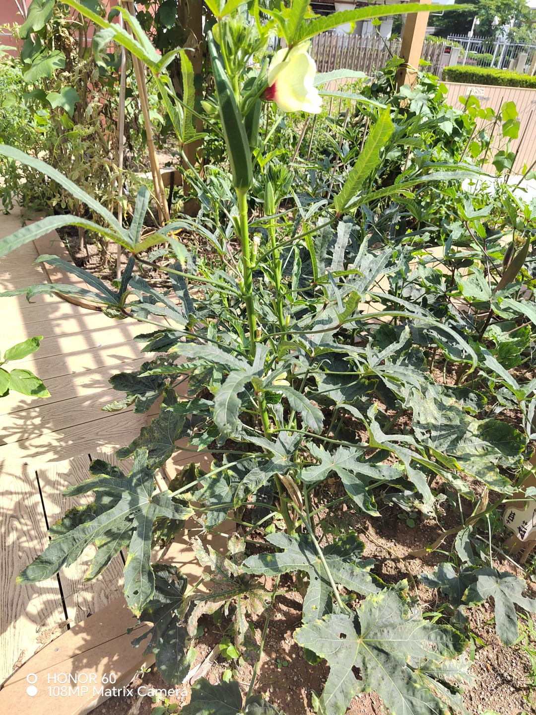 谁能百分百说出这些菜名？