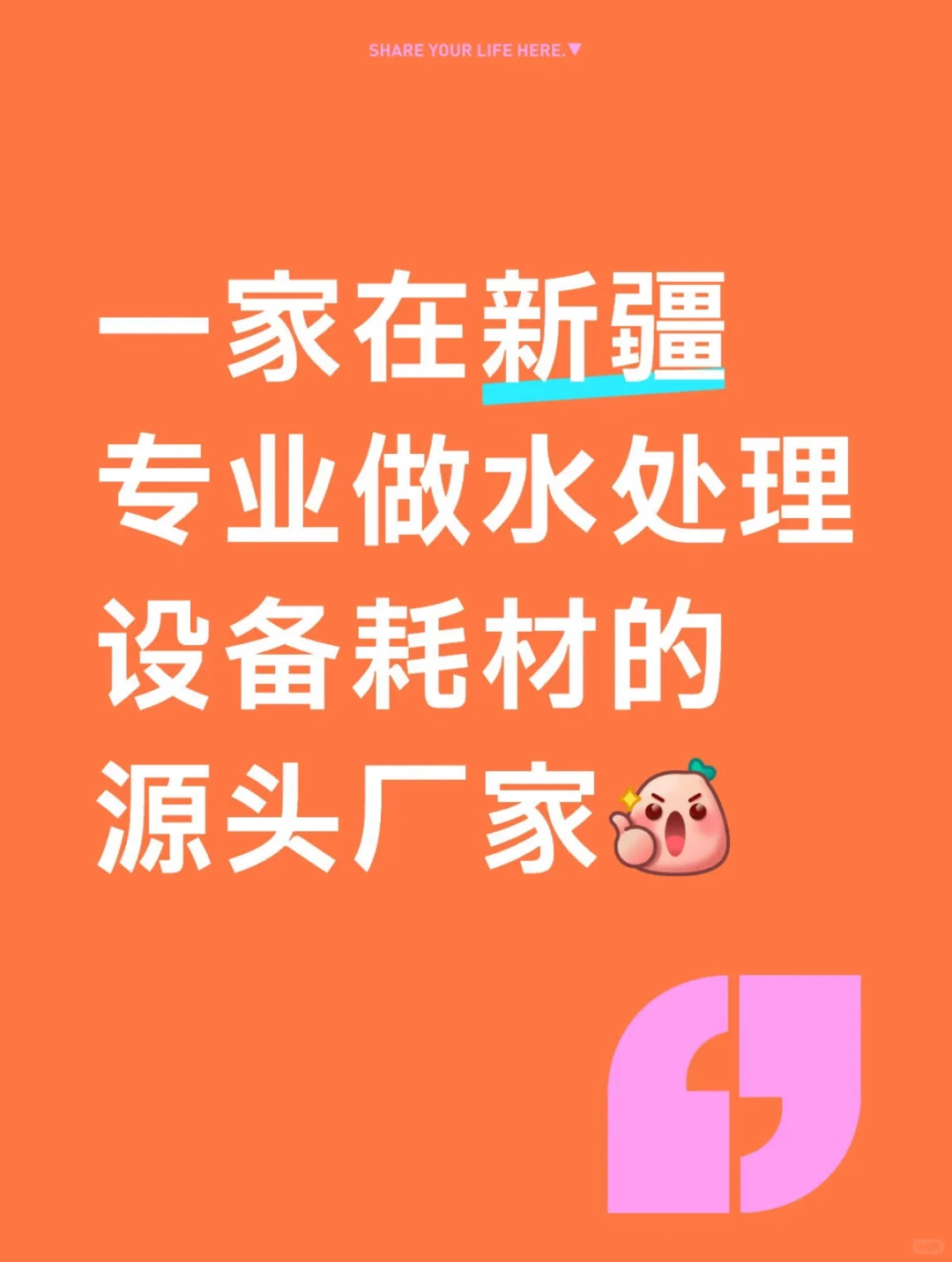 专做新疆的水处理设备源头厂家??‍??