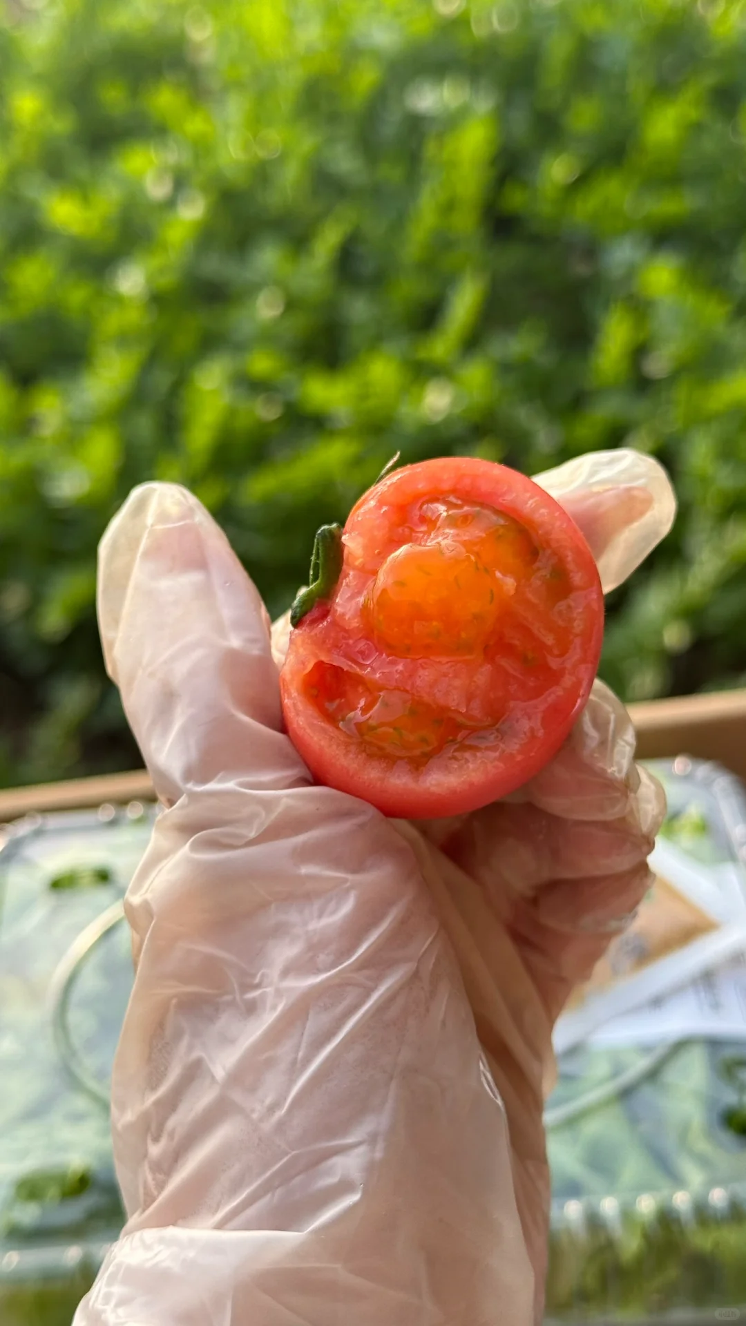 没错，就这箱蔬菜，被领导夸我是送礼小能手的