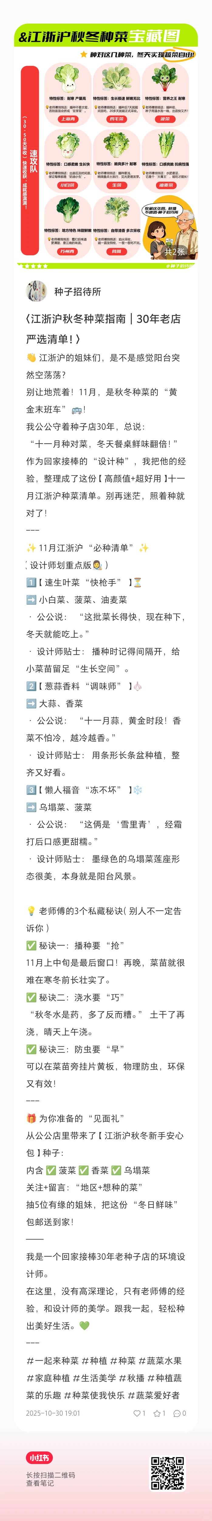 南方冬季种植小菜园