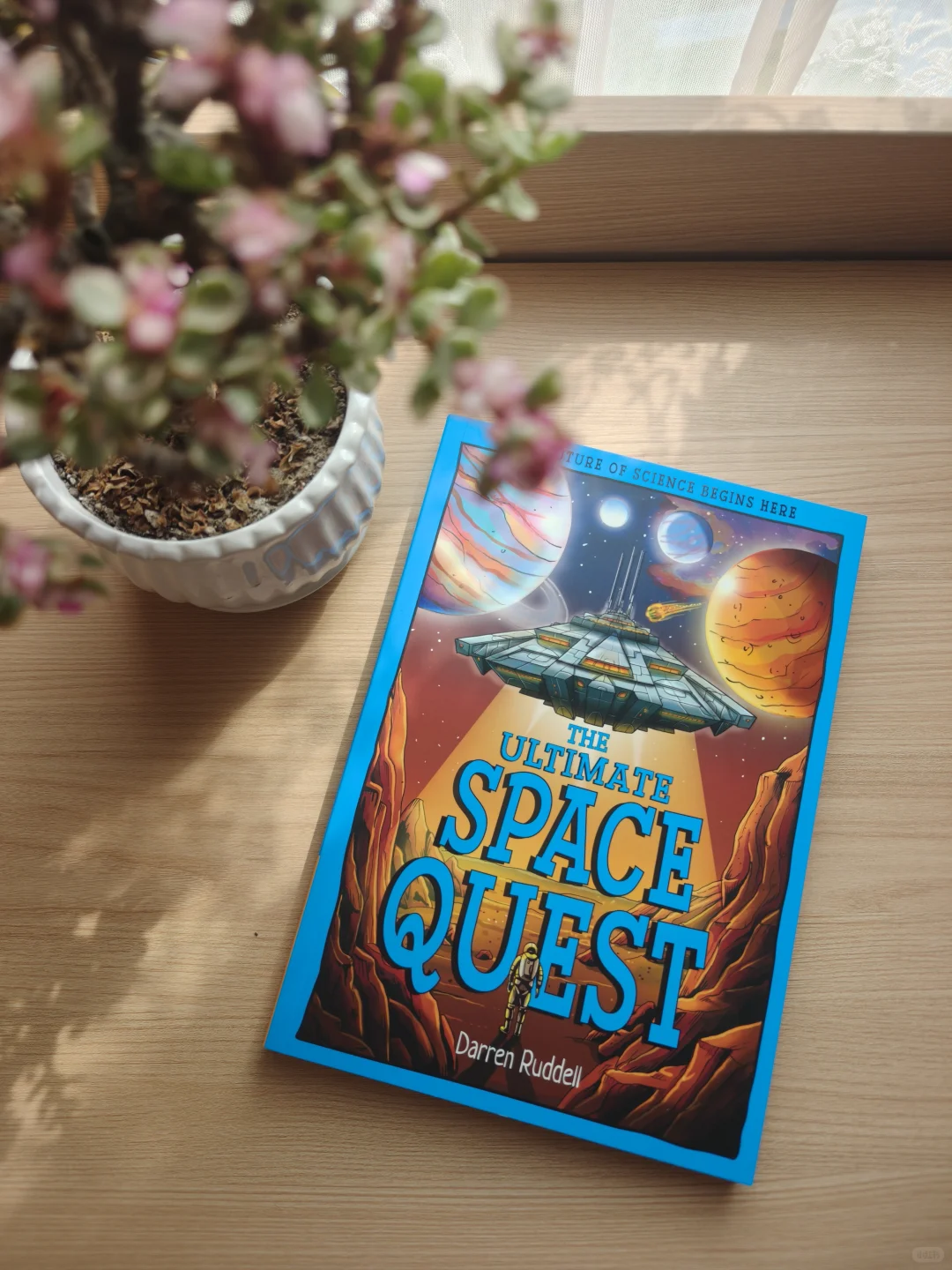 海狸の建筑天赋：看完它的豪宅我承认我酸了