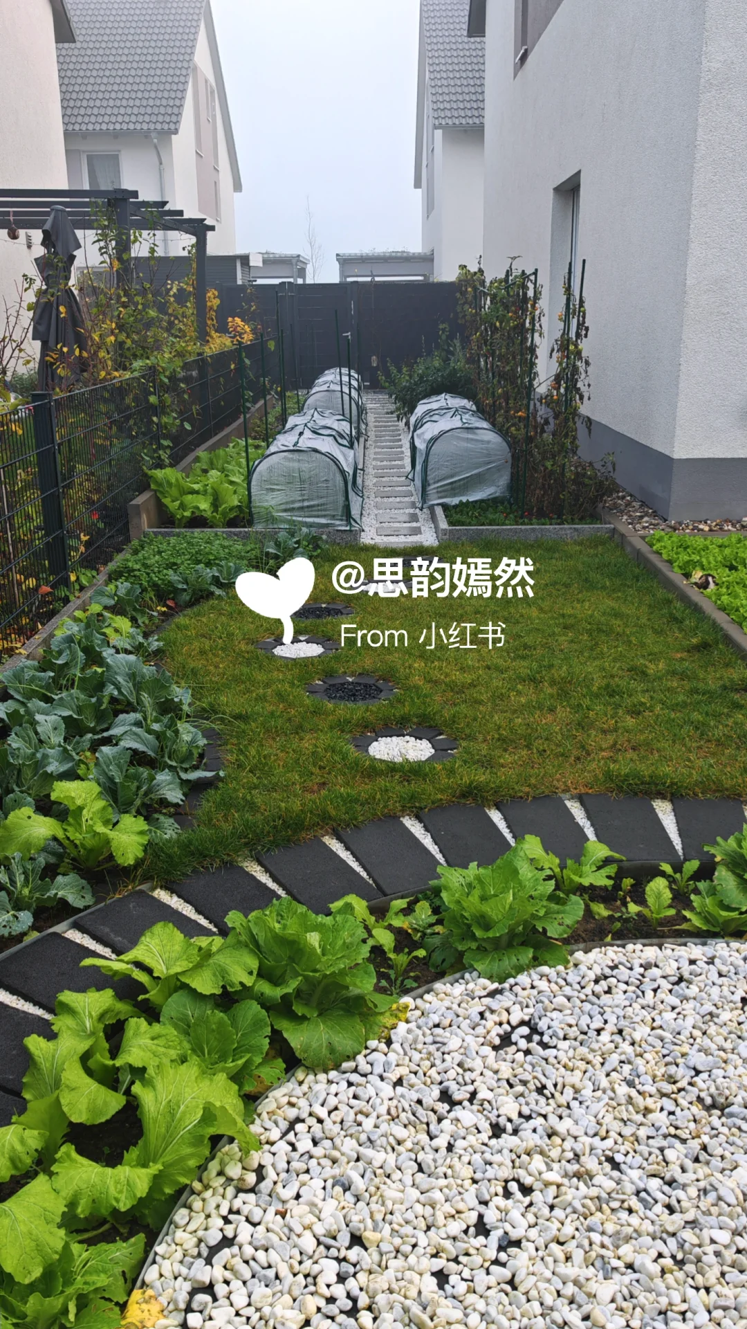 ??德国冬季蔬菜种植与暖棚的使用