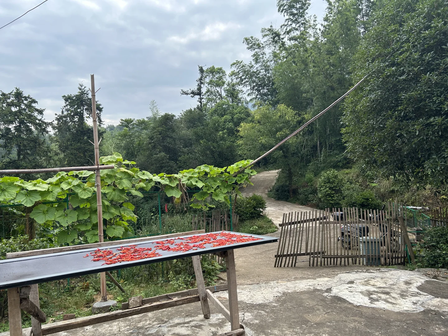 已拿下，来个室友