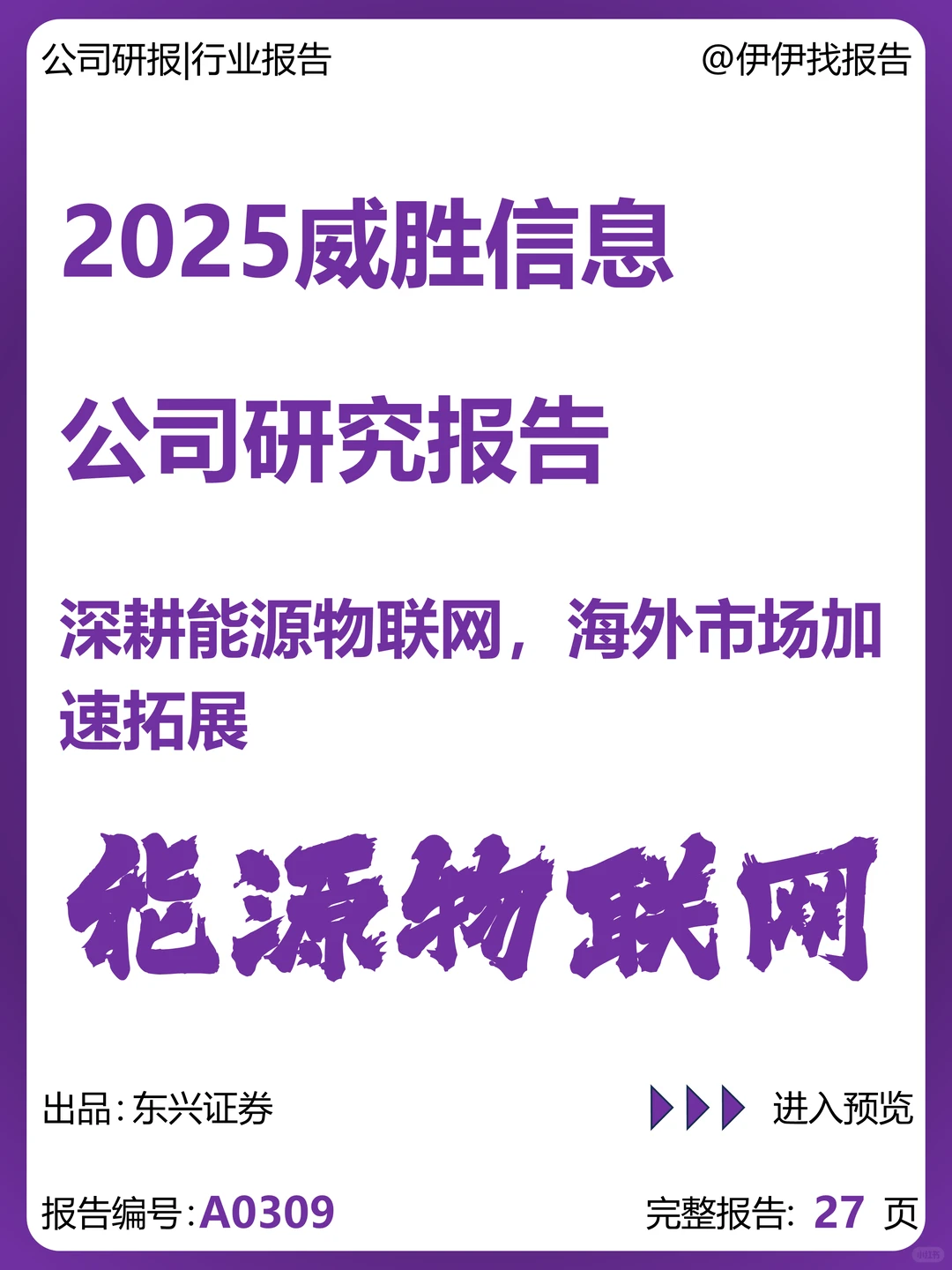 威胜信息-深耕能源物联网海外加速拓展