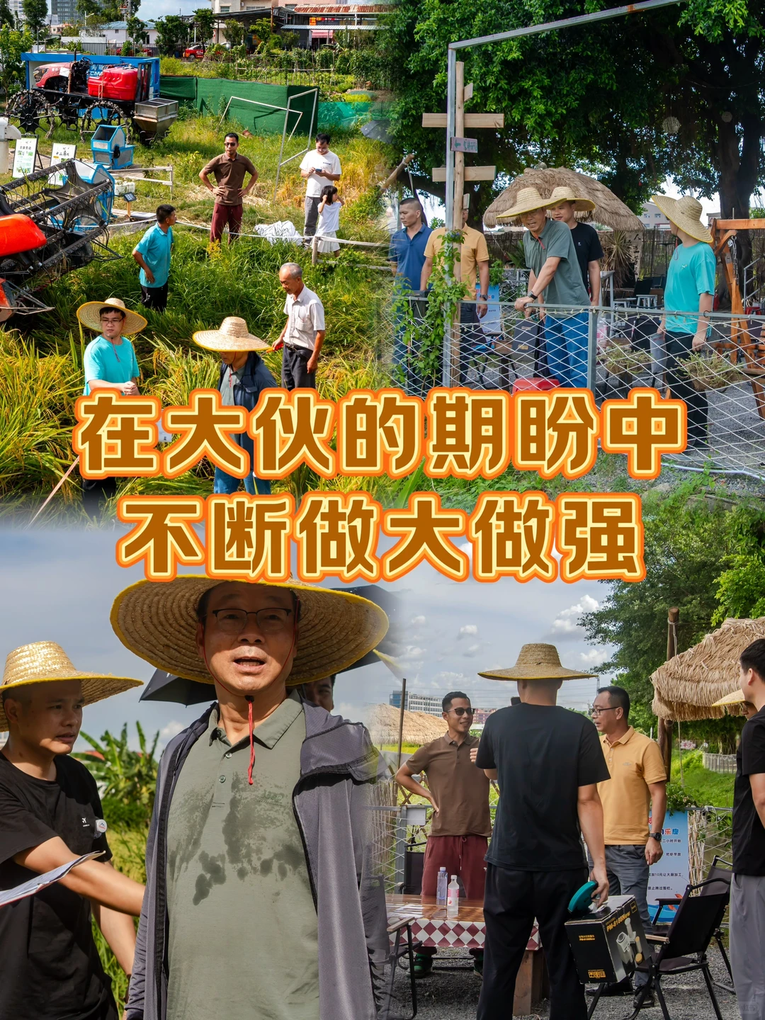 乡村振兴 | 大学生回乡创业做农业文旅