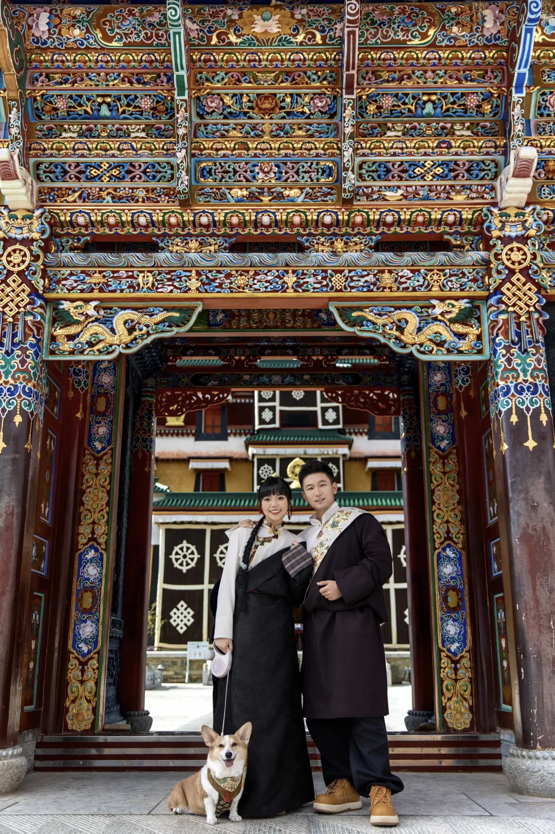 天津出发~带狗自驾甘南-拉卜楞寺