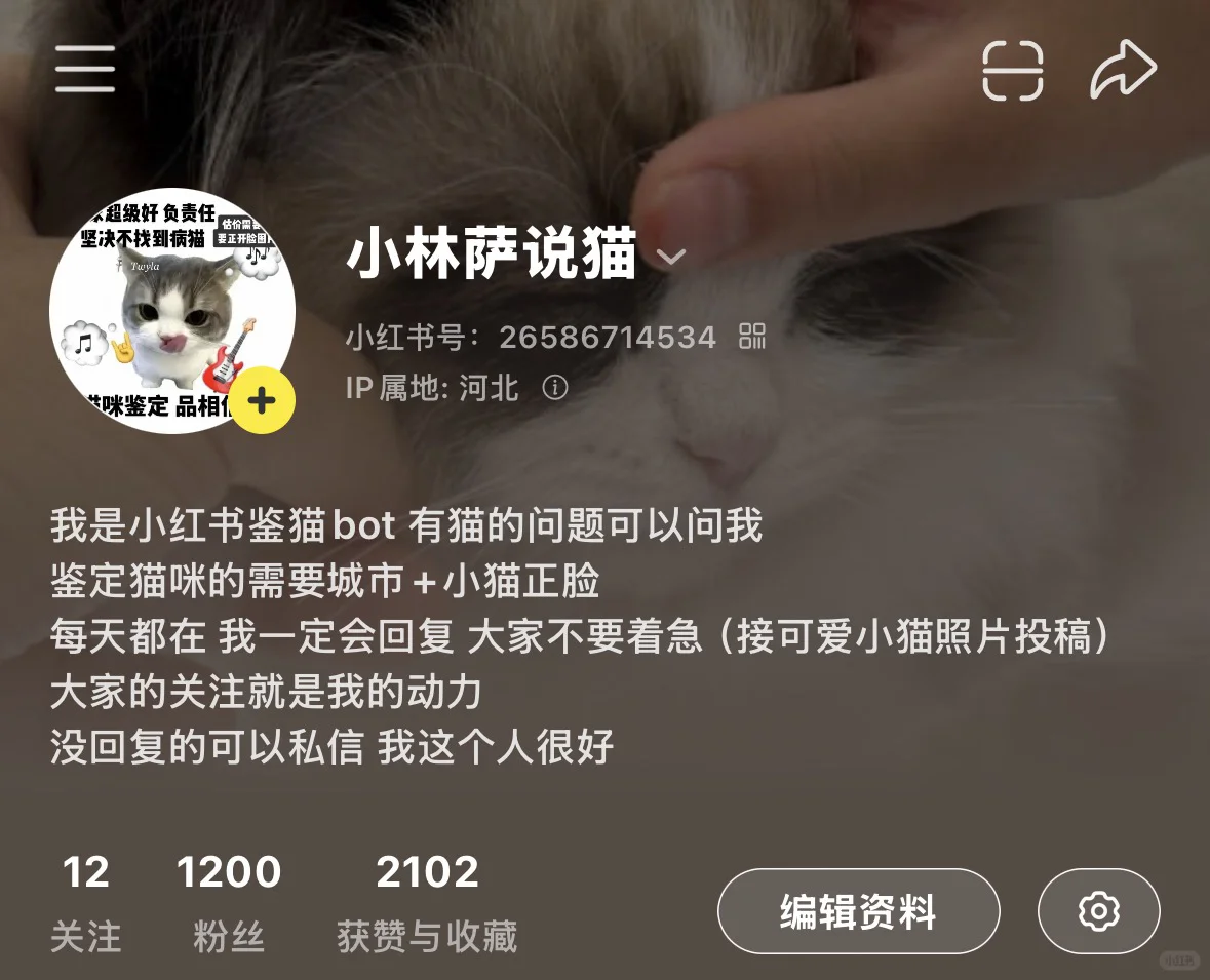 ☀️第27天免费鉴猫图二往期回复 玻璃心别来