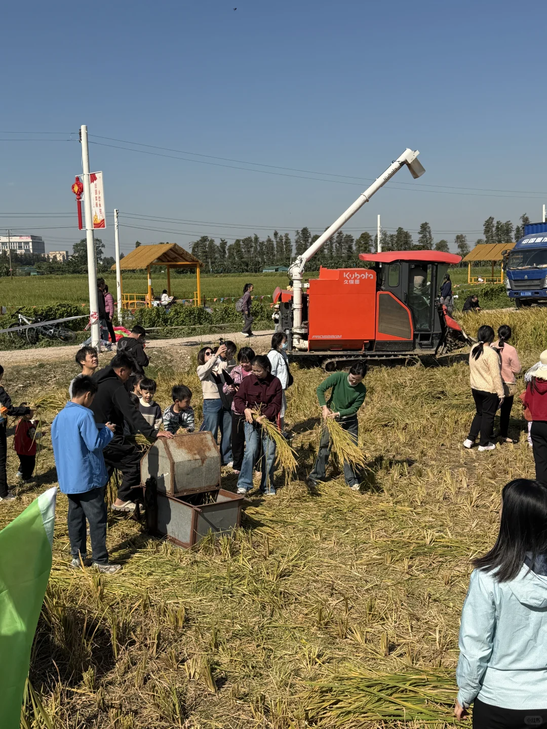 ? 晚稻割禾，又见久保田