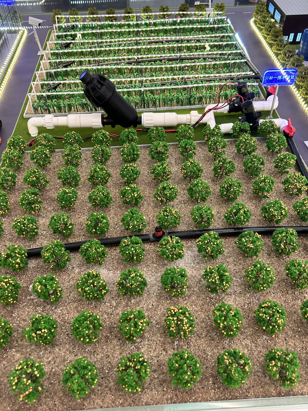 “未来已来”：广西的科技感十足