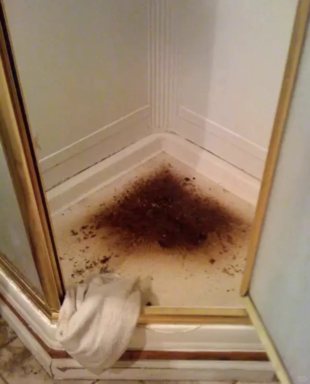 温哥华房屋漏水急修