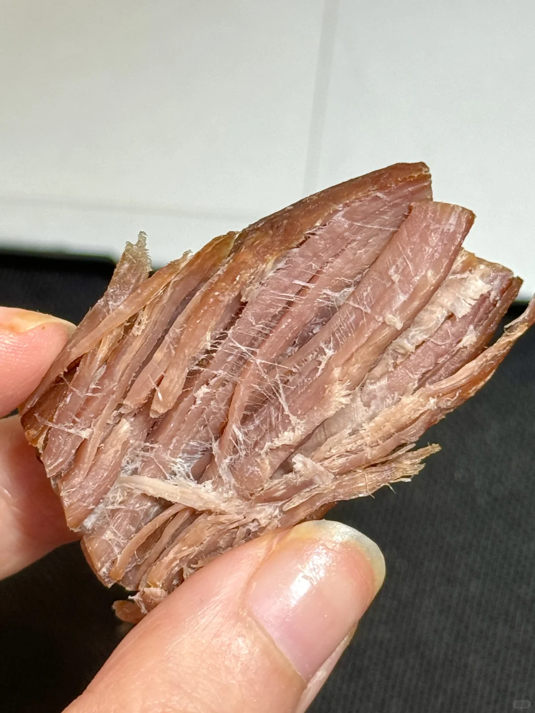 牛马人进！！一口就被惊艳到了?