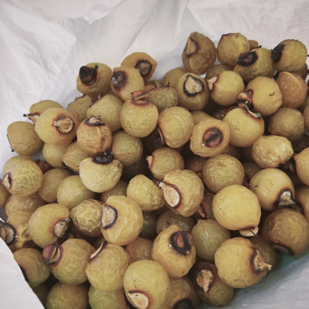 合肥 小电钻租用