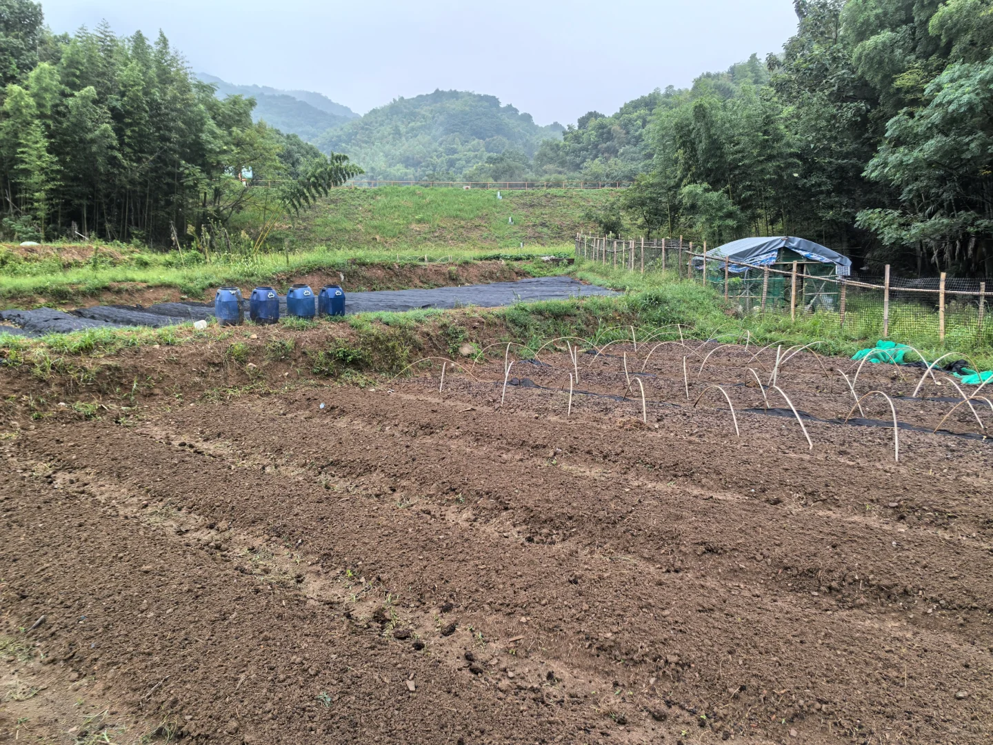 建一个小型农场需要多少费用？