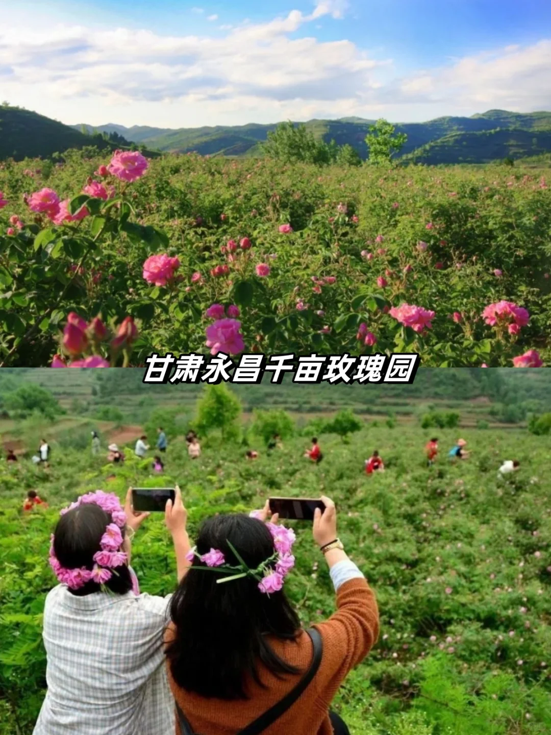 农文旅融合7种成功模式