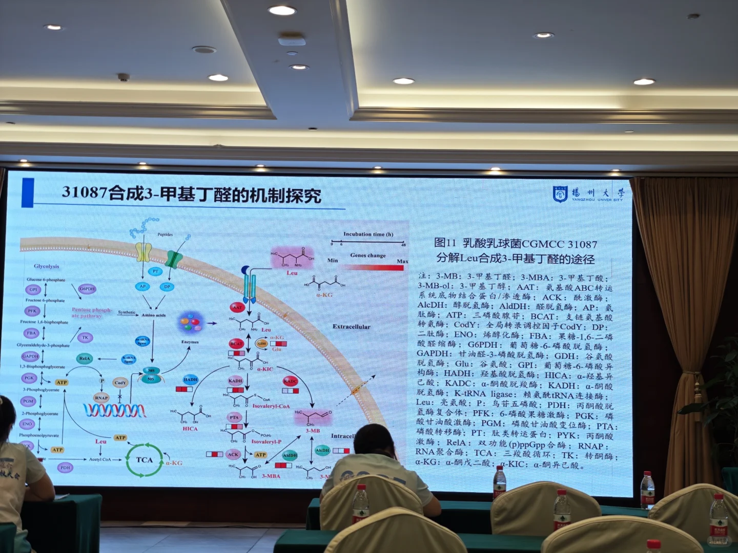 2025年肉类科技大会