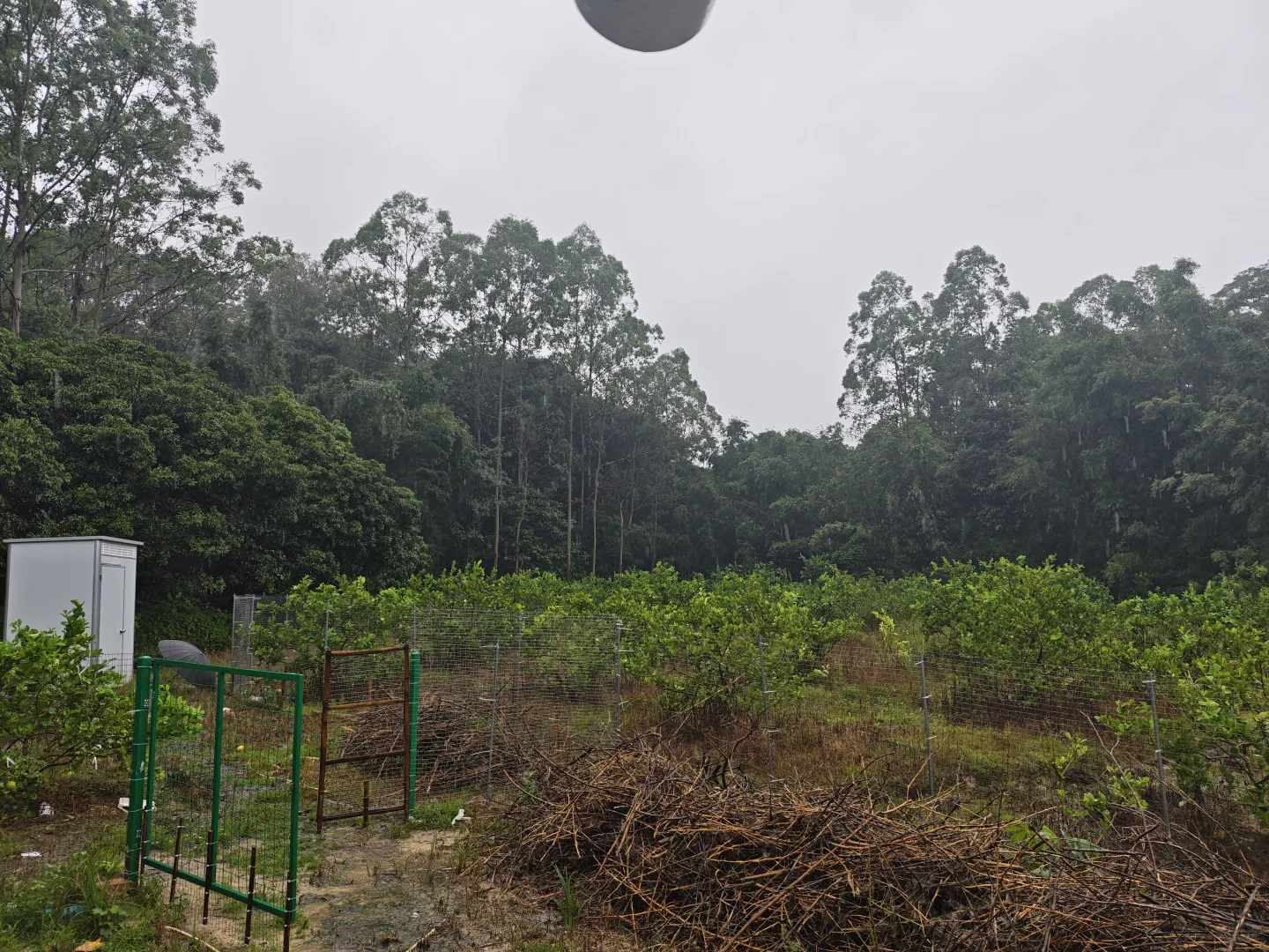 果园出租 农庄转让 着急拆伙出手