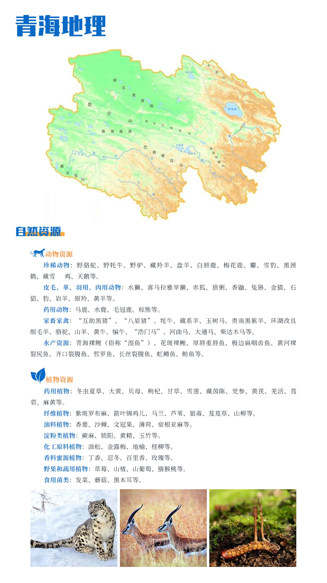 ?青海选调学习打卡day3