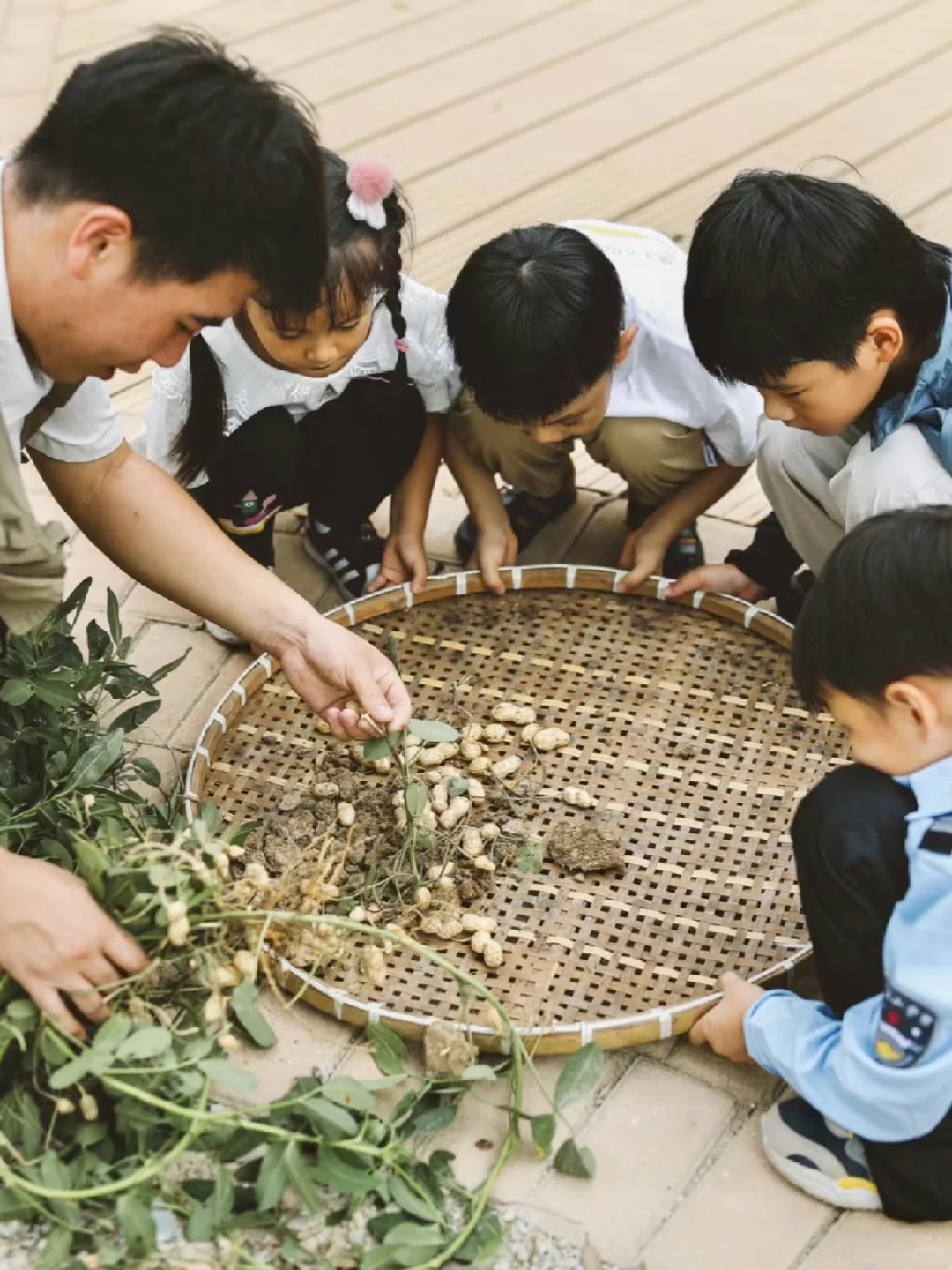 文旅＋研学 乡村振兴新模式