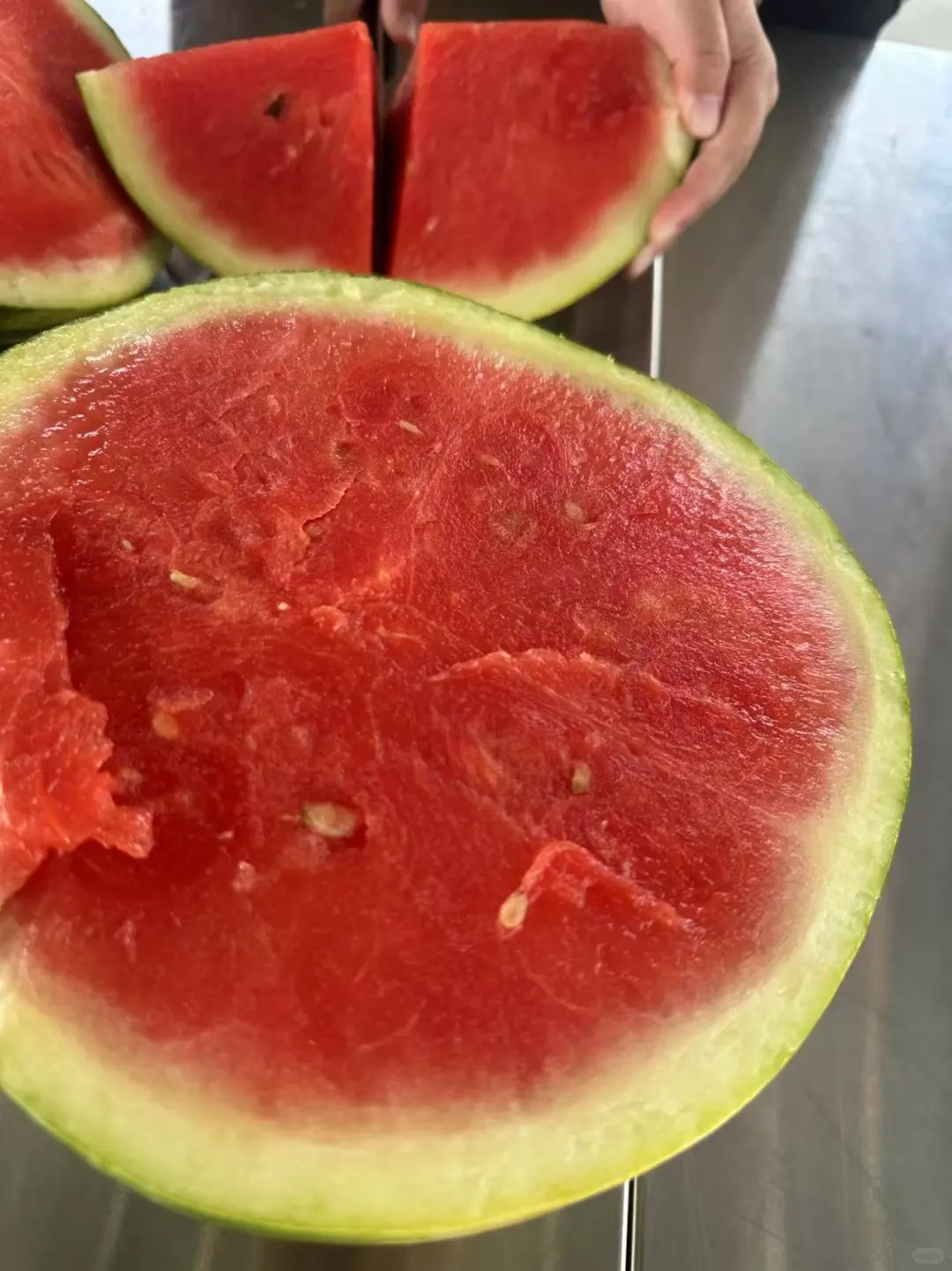 奥克兰周末正确打开方式｜体验蔬菜种植采摘