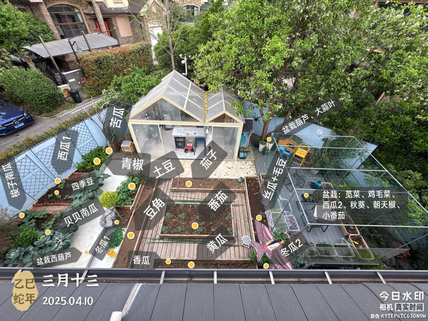 盘点25年春夏季蔬菜种类