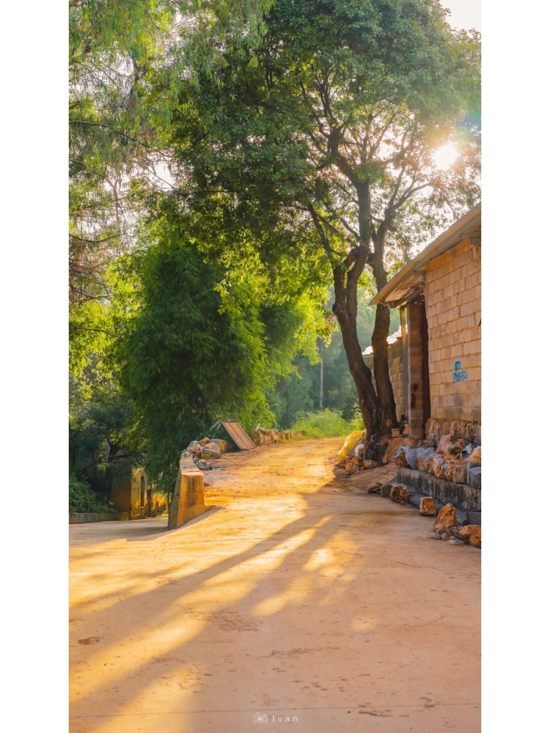 “治愈经济”：助力乡村振兴的温暖之风