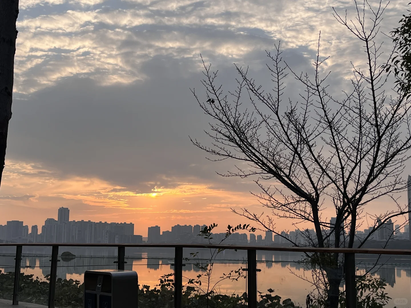 武汉理工·国际文化节