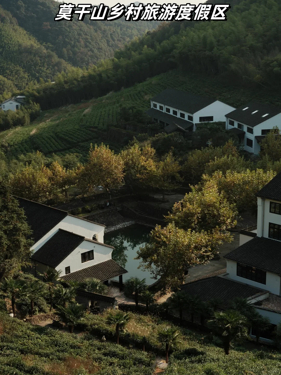 农文旅融合7种成功模式