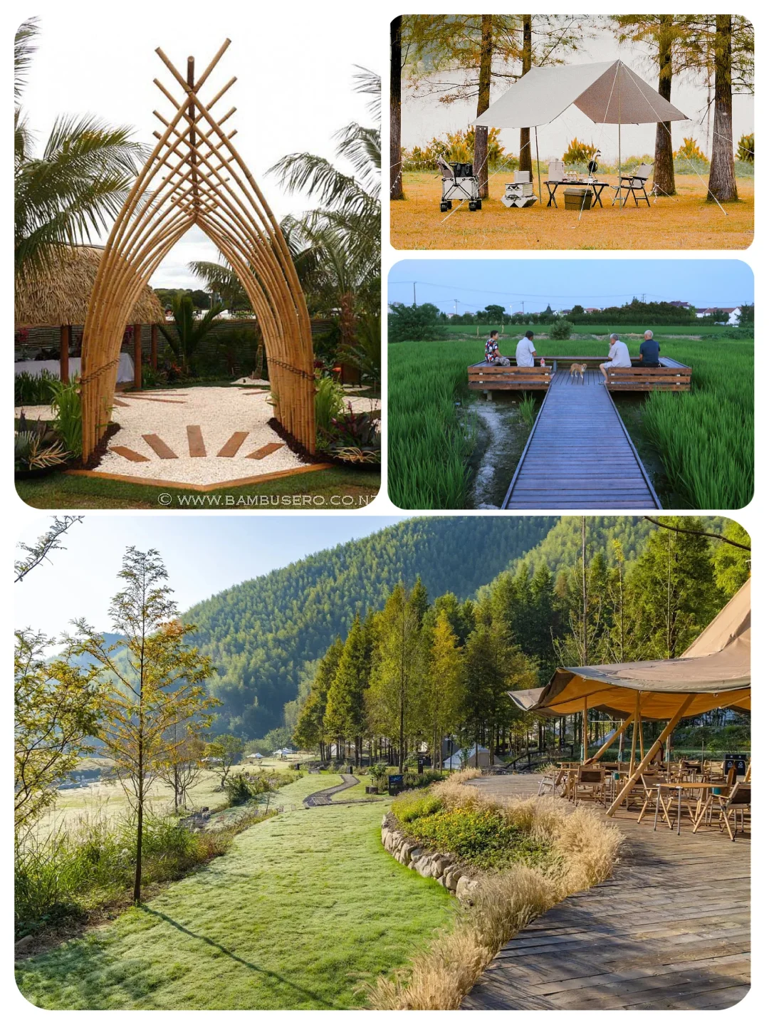 火了很多年的乡村文旅