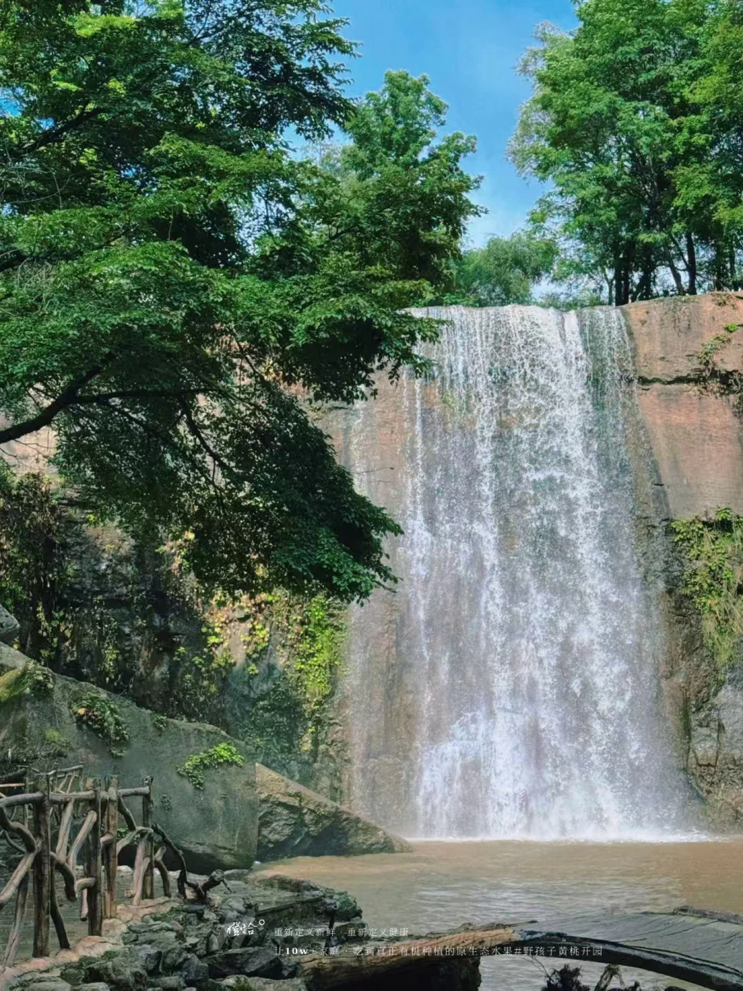 新农人必看！?表演?压力轻松YIN流