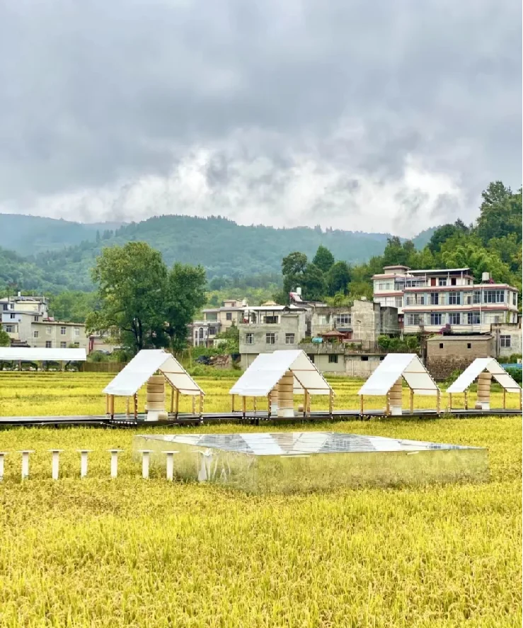 “治愈经济”：助力乡村振兴的温暖之风
