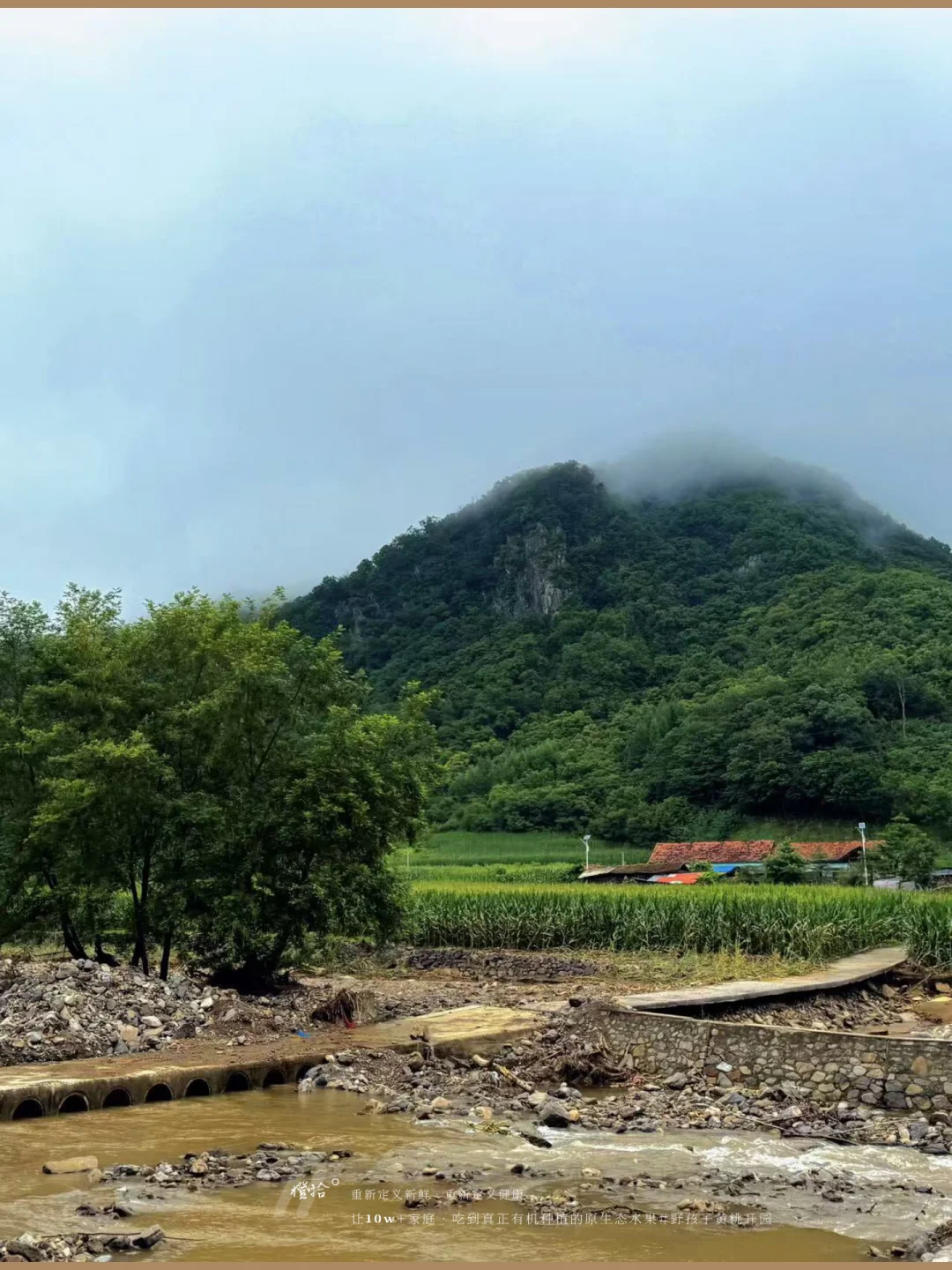 新农人必看！?表演?压力轻松YIN流