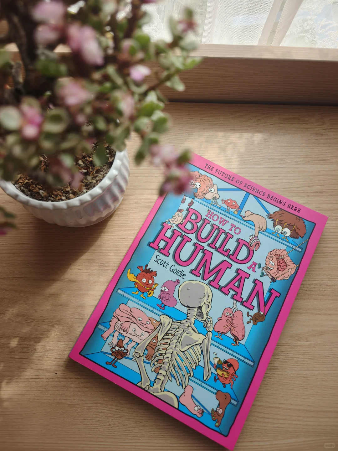 海狸の建筑天赋：看完它的豪宅我承认我酸了