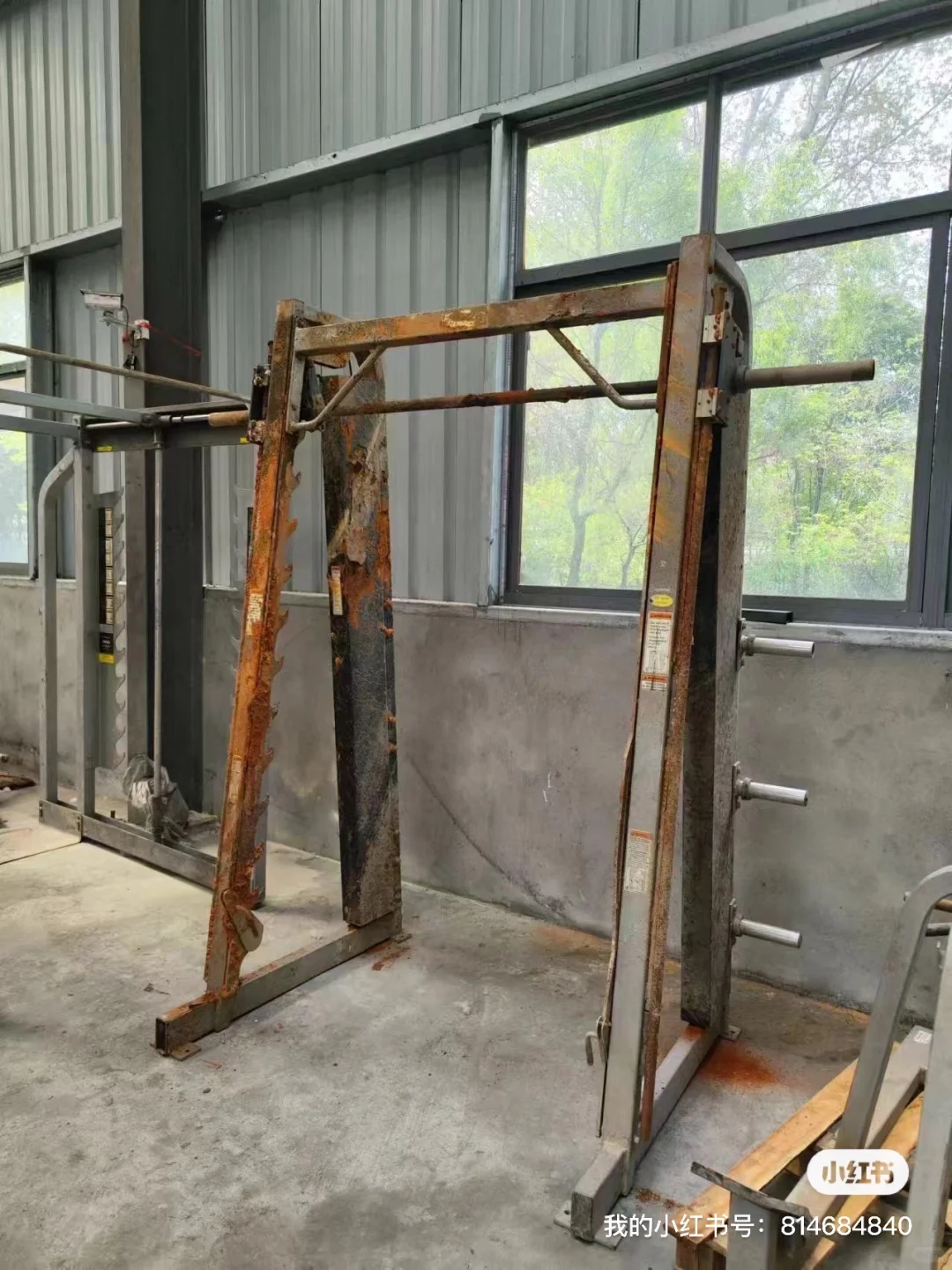 ??美国留子！传奇故事2w捡漏100w健身房？ 2