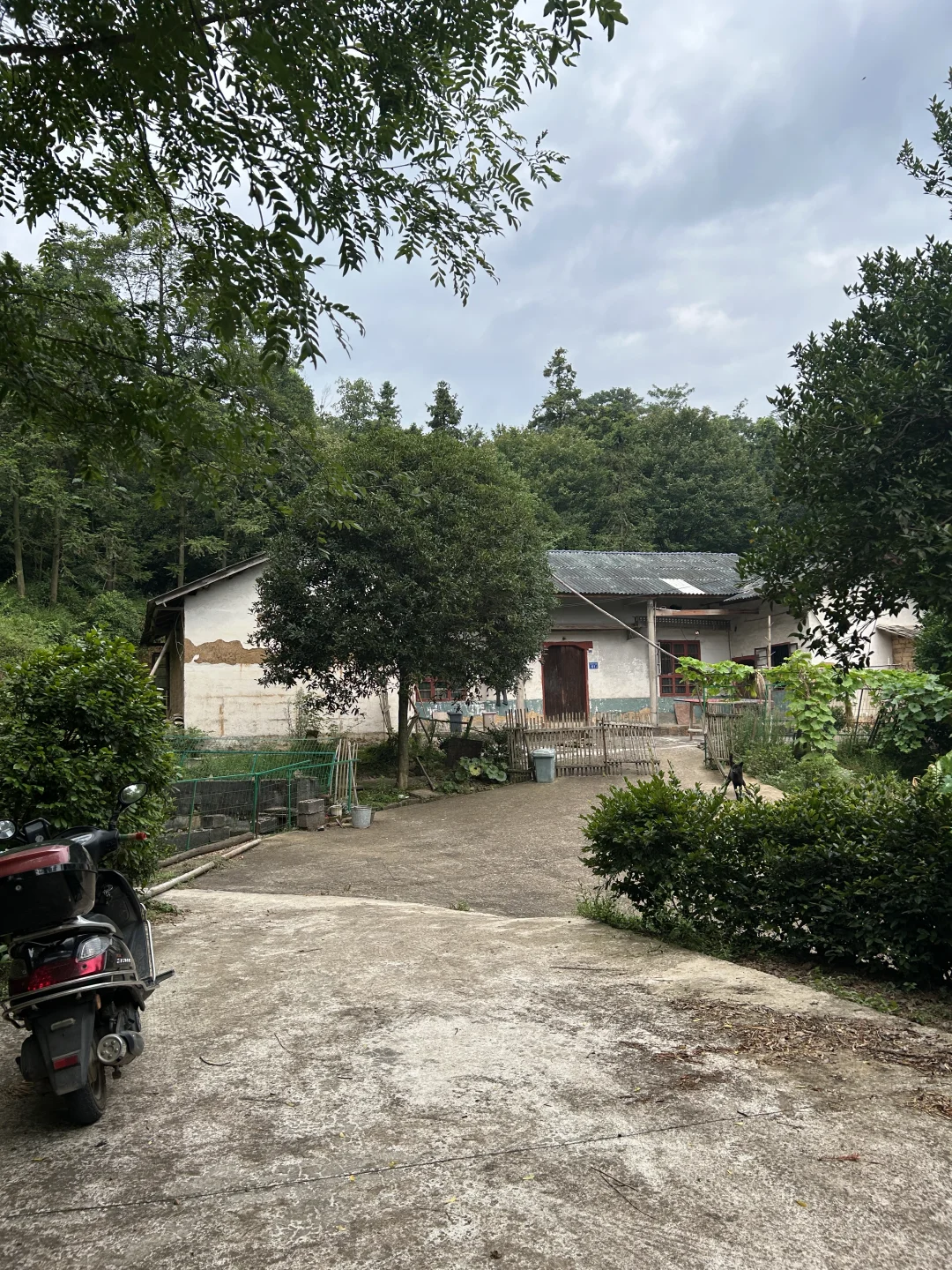 已拿下，来个室友