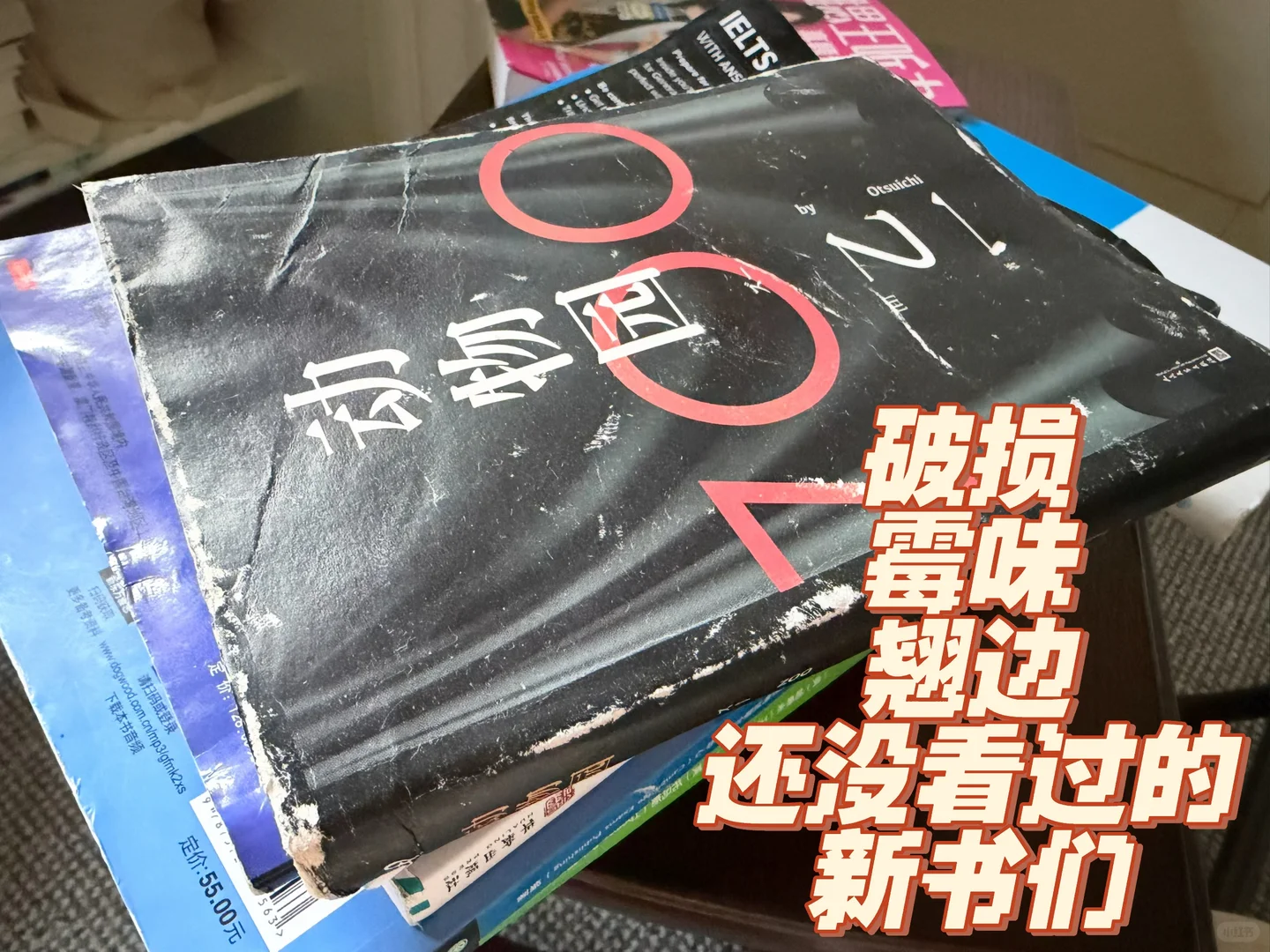 谨慎选择越洋国际水陆路物流?！