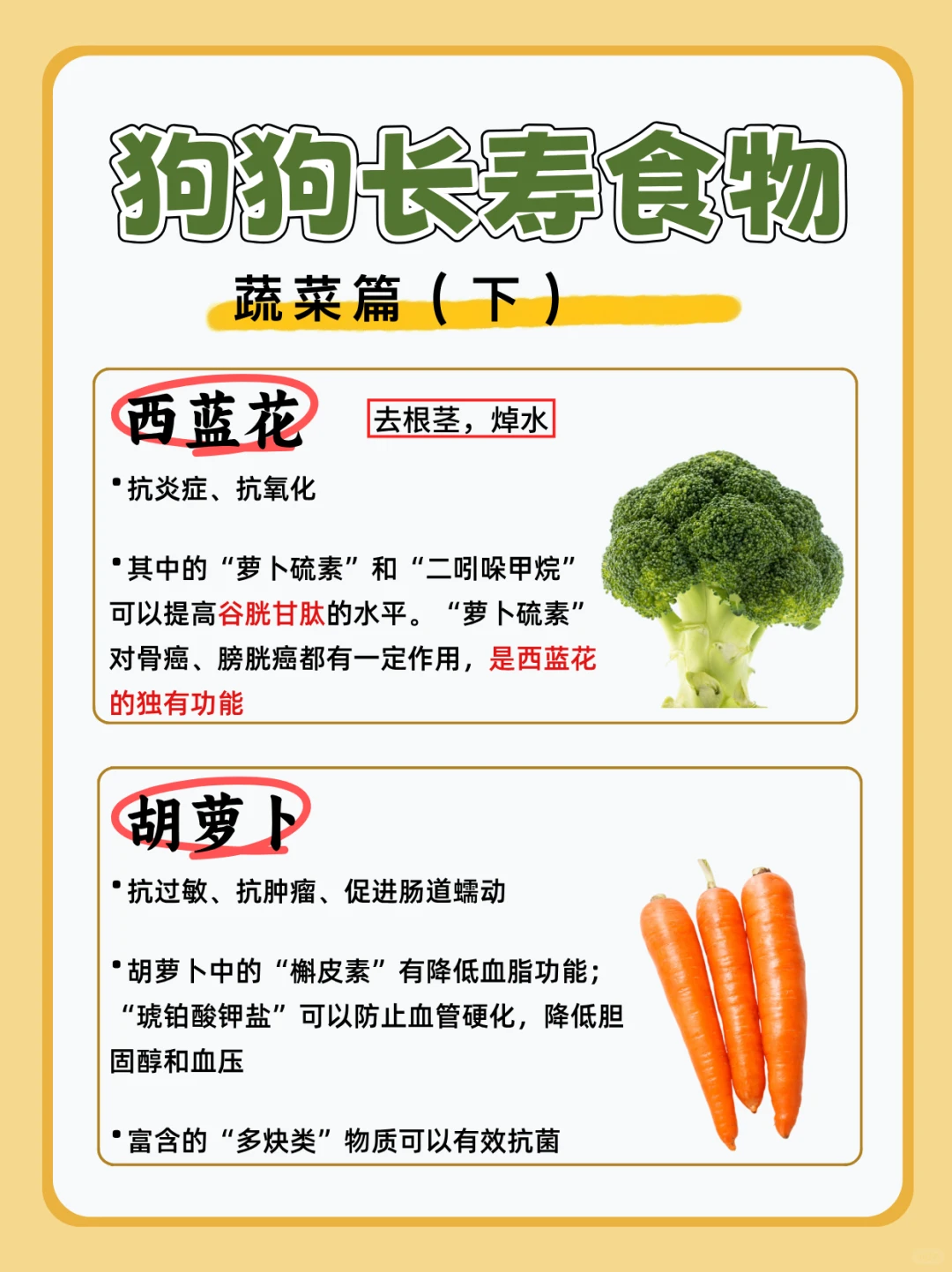 宠物健康|狗狗长寿食物|长寿蔬菜（下）